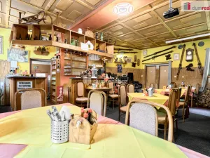 Prodej rodinného domu, Jáchymov, tř. Čs. armády, 380 m2