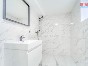 Prodej obchodního prostoru, Plzeň - Doudlevce, Šípková, 70 m2