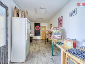 Prodej obchodního prostoru, Starý Kolín, Za poštou, 3398 m2
