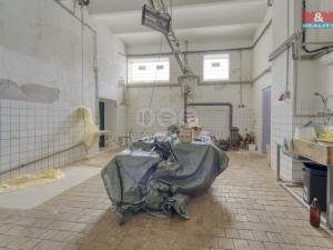 Prodej obchodního prostoru, Starý Kolín, Za poštou, 3398 m2