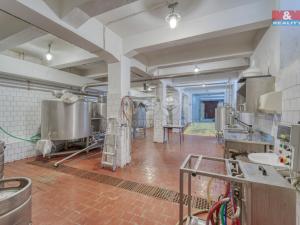 Prodej obchodního prostoru, Starý Kolín, Za poštou, 3398 m2