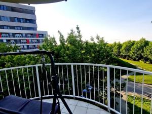 Pronájem bytu 3+1, Olomouc, Rumunská, 95 m2