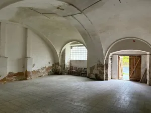 Pronájem obchodního prostoru, Planá, Zámecká, 100 m2