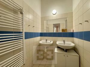 Pronájem bytu 2+kk, Brno, Cejl, 50 m2