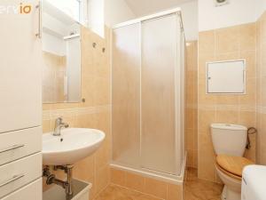 Pronájem bytu 2+kk, Brno - Trnitá, Masná, 84 m2