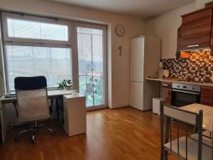 Pronájem bytu 1+kk, Brno, Božetěchova, 39 m2