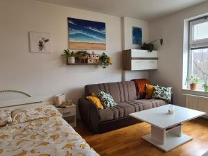 Pronájem bytu 1+kk, Brno, Božetěchova, 39 m2