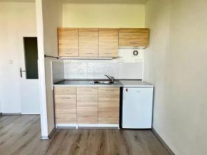 Pronájem bytu 1+kk, Ostrava, Čujkovova, 28 m2