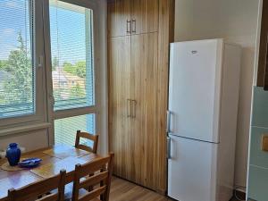 Pronájem bytu 2+1, Olomouc, U kovárny, 58 m2