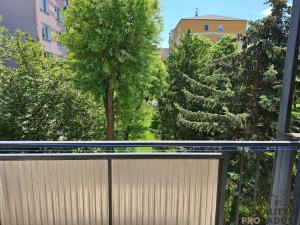 Pronájem bytu 2+1, Olomouc, U kovárny, 58 m2