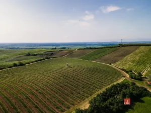 Prodej pozemku, Zaječí, 256256 m2