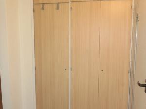 Pronájem bytu 1+kk, Hradec Králové - Pražské Předměstí, Jungmannova, 31 m2