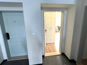 Pronájem bytu 1+kk, Ostrava, 28. října, 30 m2