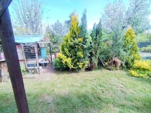 Prodej zahrady, Ostrava - Michálkovice, Vrublova, 299 m2