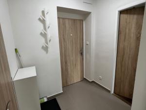 Pronájem bytu 1+1, Brno - Pisárky, Preslova, 47 m2