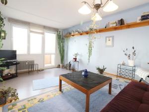 Pronájem bytu 2+kk, České Budějovice - České Budějovice 3, Budivojova, 49 m2