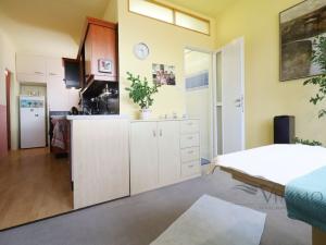 Pronájem bytu 2+kk, České Budějovice - České Budějovice 3, Budivojova, 49 m2