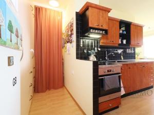 Pronájem bytu 2+kk, České Budějovice - České Budějovice 3, Budivojova, 49 m2