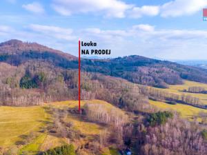 Prodej louky, Žandov - Radeč, 3251 m2