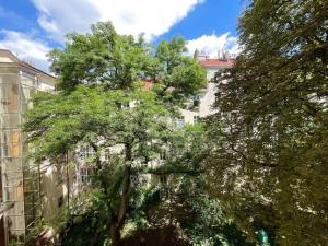Pronájem bytu 2+kk, Praha - Vinohrady, Mánesova, 48 m2
