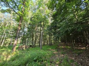 Prodej lesa, Kozlovice, 10280 m2