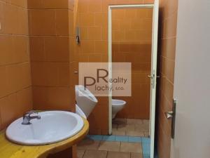 Pronájem obchodního prostoru, Znojmo, Vídeňská třída, 300 m2