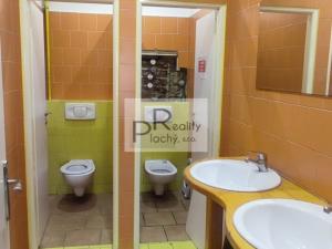 Pronájem obchodního prostoru, Znojmo, Vídeňská třída, 300 m2
