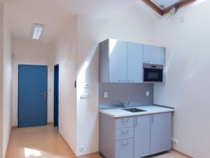 Pronájem kanceláře, Praha - Staré Město, Maiselova, 44 m2