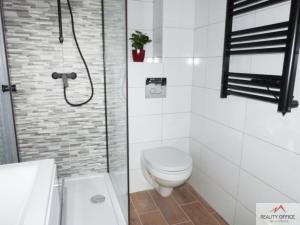 Pronájem bytu 1+1, Děčín - Děčín XXI-Horní Oldřichov, Alešova, 55 m2