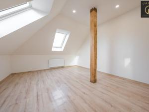 Prodej vícegeneračního domu, Chyňava, Rozdělov, 360 m2