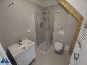 Pronájem bytu 2+kk, Pec pod Sněžkou, 28 m2