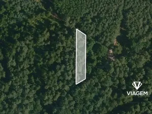 Prodej podílu lesa, Lužnice, 751 m2