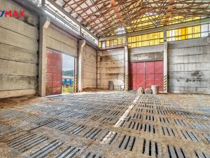 Prodej skladu, Bílá Třemešná, 1400 m2