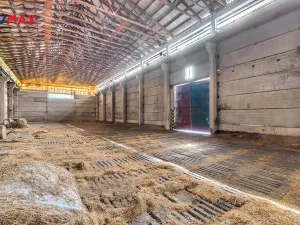 Prodej skladu, Bílá Třemešná, 1400 m2