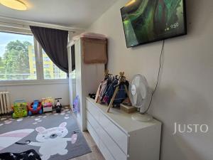 Pronájem bytu 2+1, Písek - Budějovické Předměstí, třída Přátelství, 60 m2