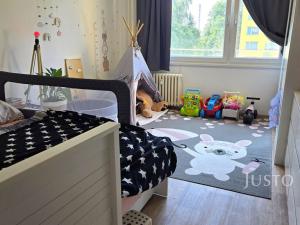Pronájem bytu 2+1, Písek - Budějovické Předměstí, třída Přátelství, 60 m2