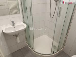 Pronájem bytu 1+kk, Praha - Vršovice, Na spojce, 27 m2