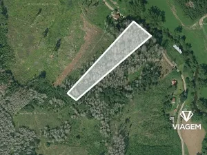 Prodej podílu lesa, Baliny, 3334 m2
