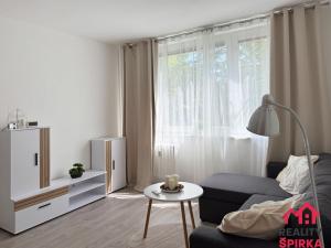 Pronájem bytu 1+1, Moravská Třebová - Předměstí, Holandská, 35 m2