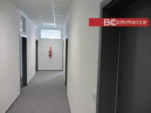 Pronájem kanceláře, Brno, 18 m2
