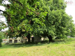 Prodej rodinného domu, Běšiny - Kozí, 270 m2