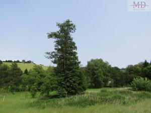 Prodej rodinného domu, Běšiny - Kozí, 270 m2