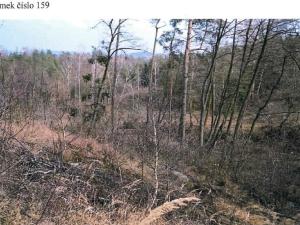 Prodej lesa, Osové, 21602 m2