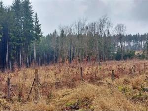 Prodej lesa, Počátky, 8603 m2