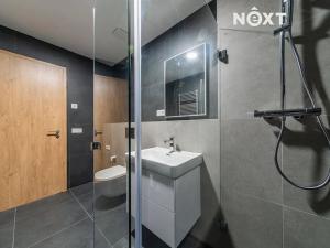 Prodej bytu 1+kk, Olomouc, Ostrovní, 40 m2