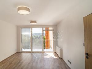 Pronájem bytu 3+1, Strakonice - Strakonice I, Mlýnská, 58 m2