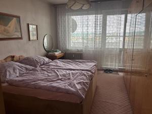 Prodej bytu 3+1, Chodov, Husova, 78 m2