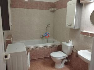 Pronájem bytu 1+kk, Olomouc, U stadionu, 35 m2