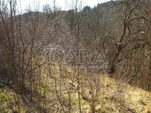 Prodej rodinného domu, Březová nad Svitavou, 170 m2