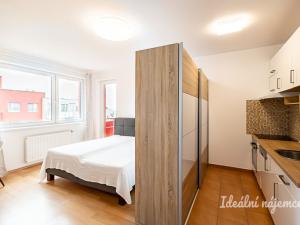 Pronájem bytu 1+kk, Praha, Farkašova, 32 m2